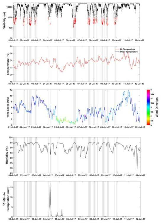2017년 7월의 부산항 해무 발생 시 기상요소의 시계열 분포