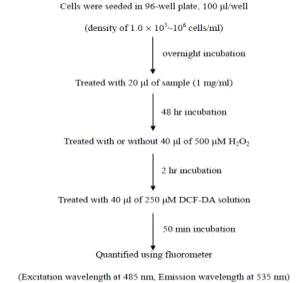 Analysis of intracellular oxidative stress using DCF-DA
