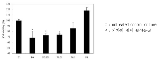 치자 정제 활성물질 P의 농도별 세포생존률 평가