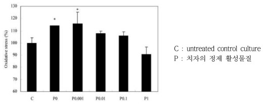치자 정제 활성물질 P의 농도별 산화적스트레스 저해 활성 평가