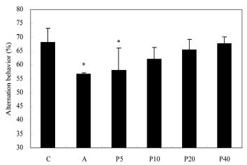 아밀로이드 베타를 주사한 실험쥐에서의 농도별 P샘플(5, 10, 20, 40mg/kg of body weight per day)에 대한 Y미로 실험 결과 C : injected with 410 pmol of Aβ42-1 A : injected with 410 pmol of Aβ1-42 P : 치자의 정제 활성물질