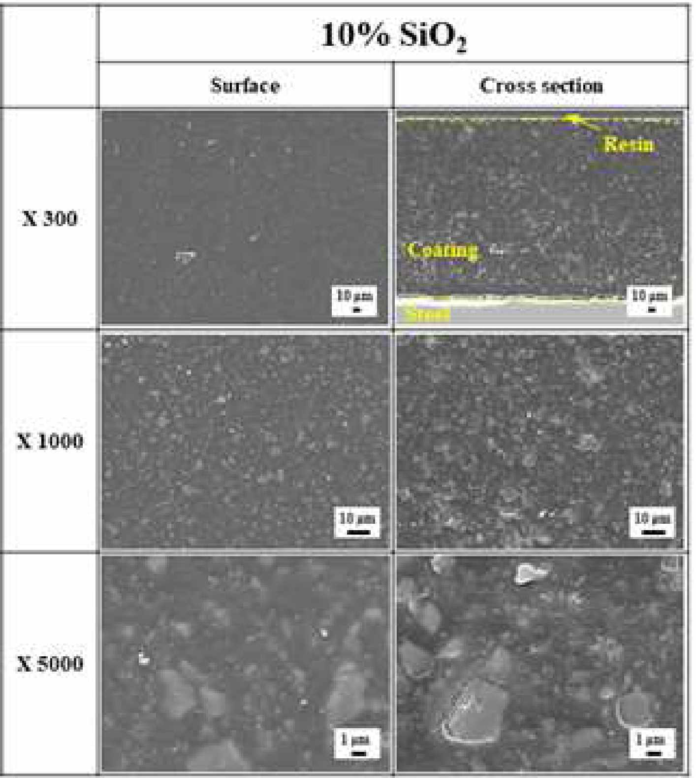 10% SiO2 첨가 분체 도장 막 형상 전자현미경 분석사진