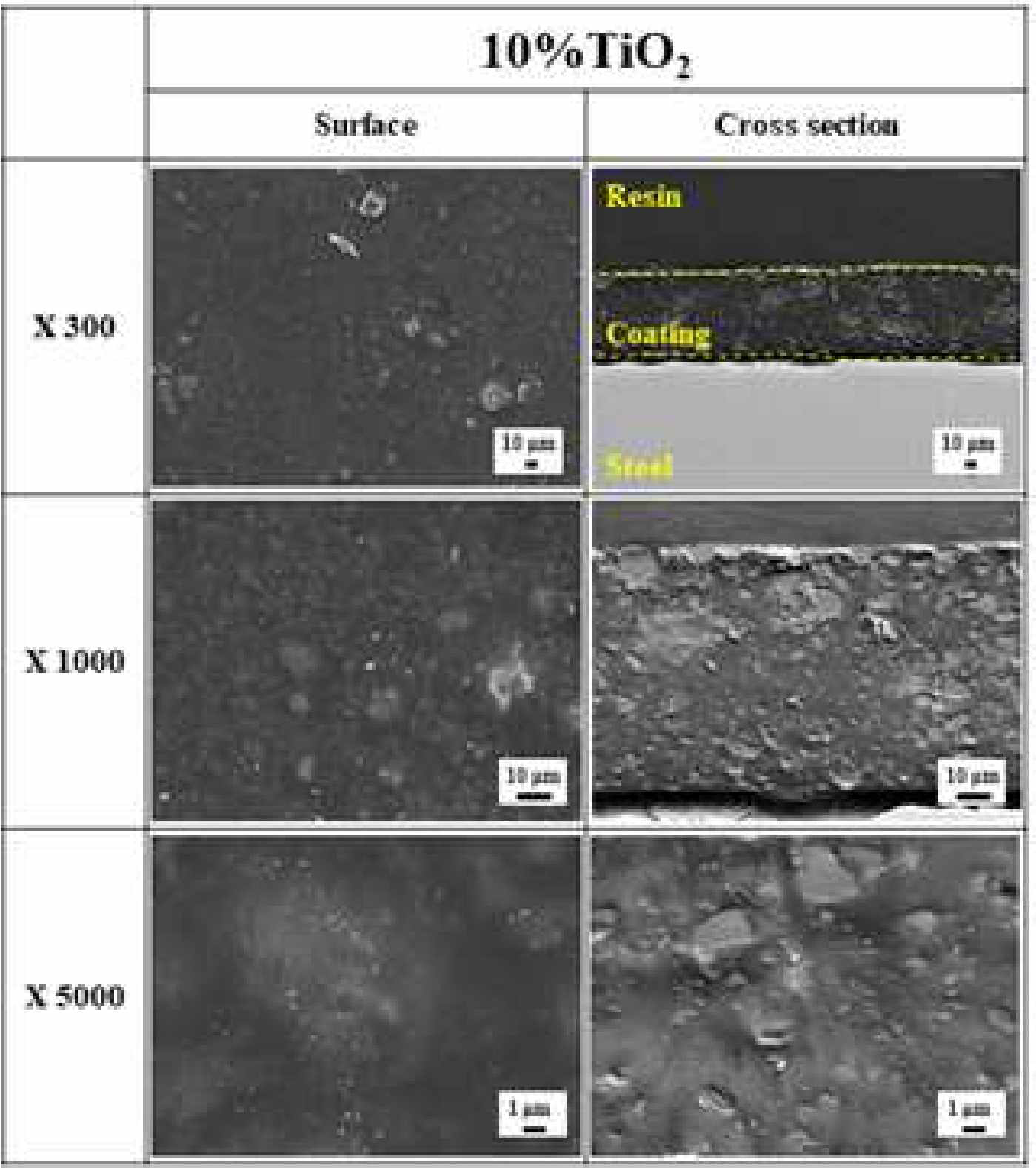 10% TiO2 첨가 분체 도장 막 형상 전자현미경 분석사진
