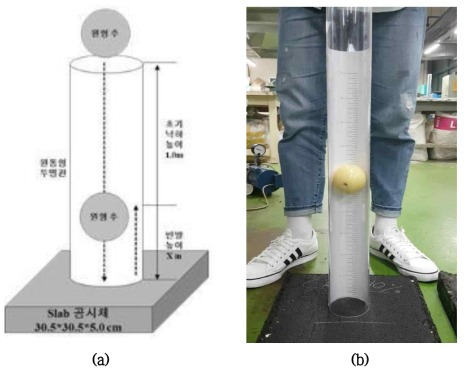 충격에너지 흡수 특성 분석을 위한 Drop boll 시험 (a) 모사도 (b) 시험장면