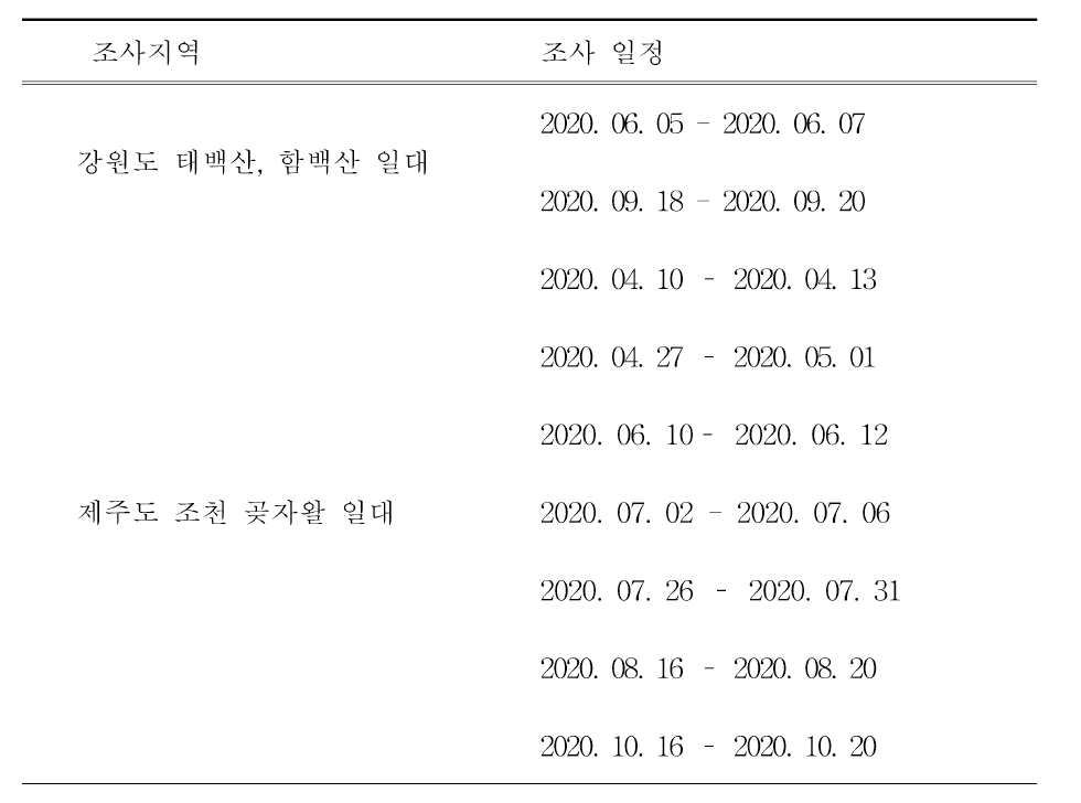 본 연구의 세부 조사일정