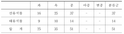 제주도 조천 꽂자왈의 선태식물