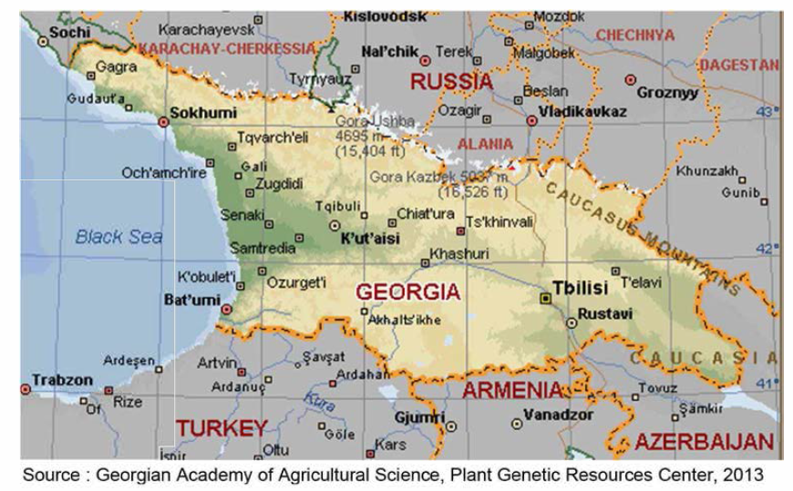 조지아의 지형도