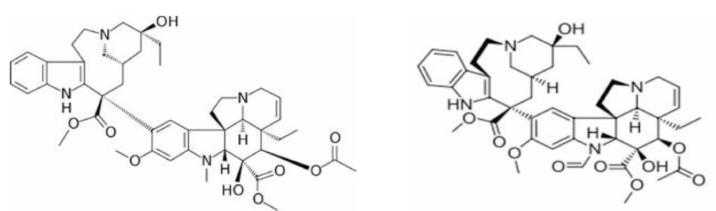 Vinblastine 및 Vincristine
