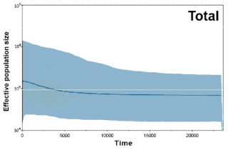 작은말조개의 16S rRNA 유전정보에 근거한 Bayesian skyline plot