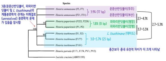 운문산반딧불이에 대한 본 연구진의 선행연구 (Choi et al. 2003: Figure 3 재구성)