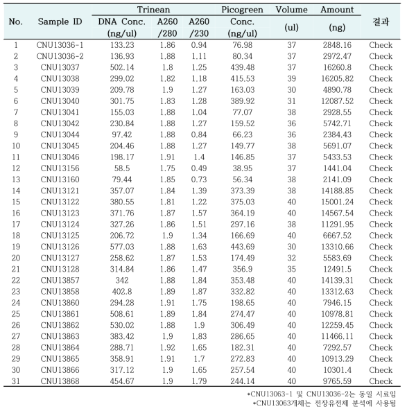 말매미 30개체에 대한 DNA QC 결과