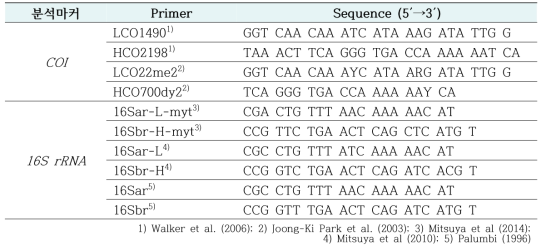 미토콘드리아 유전자 분석마커와 primer 염기서열