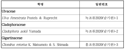 해산 대형조류 신종/미기록 발굴종 목록