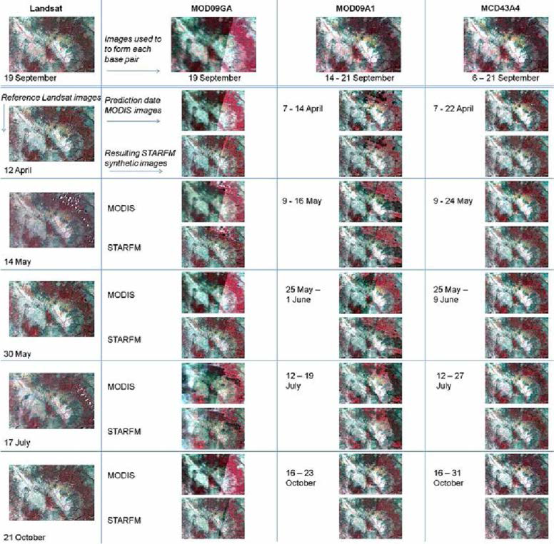 합성 데이터 세트의 생성 및 분석에 사용되는 Landsat-5 TM 및 MODIS 이미지와 결과 STARFM 융합 이미지. (9.19 초기 쌍을 사용하여 만든 이미지만 표시)