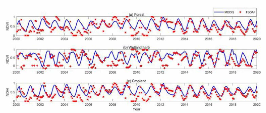 산림，습지, 농지 피복의 MODIS와 FSDAF 융합 결과의 시계열 NDVI 변화 그래프