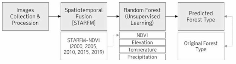 Random Forest 무감독 분류를 통한 종 군락분류 흐름도