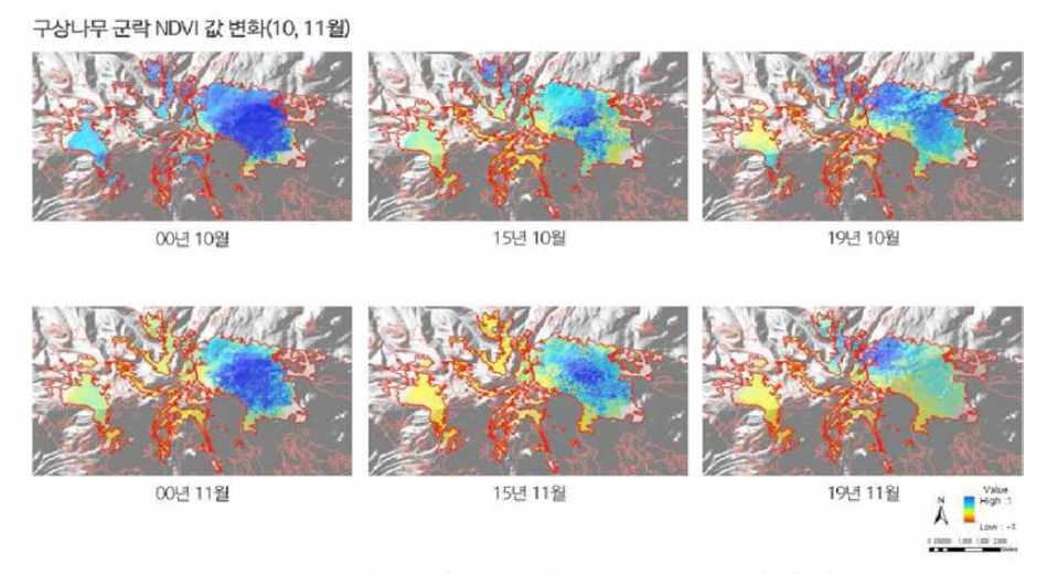 10월，11월의 구상나무 NDVI 변화 양상