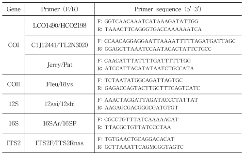 각 유전자를 증폭하기 위해 사용한 primer
