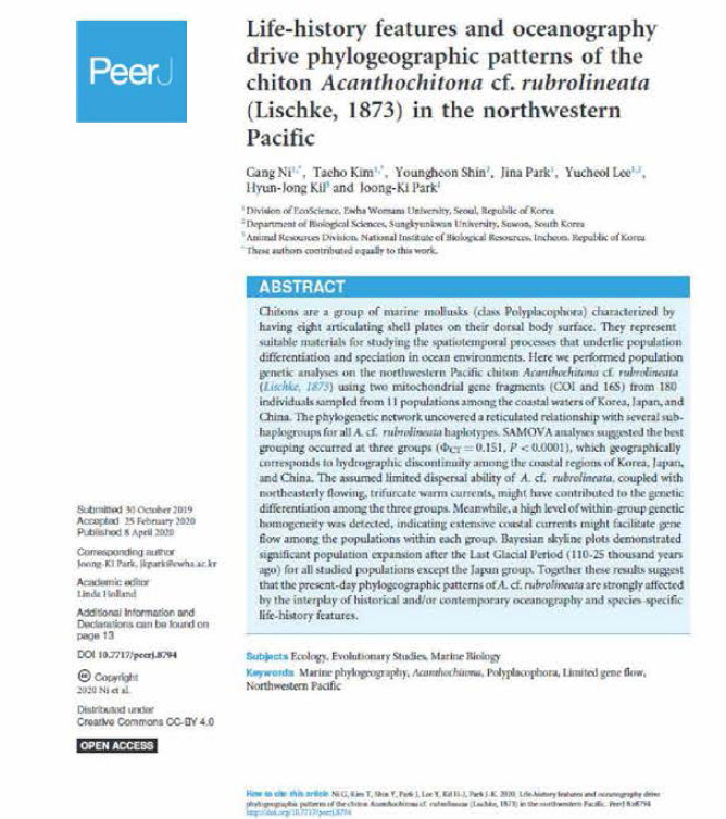 Acanthochitona cf. rubrolineata에 대한 분자계통지리학적 연구 논문 출판