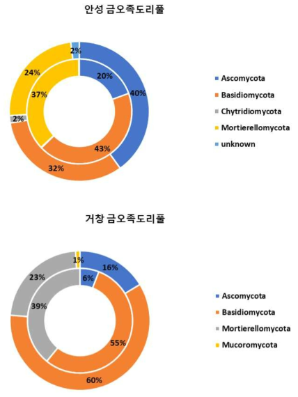 Phylum 수준에서 확인한 안성과 거창의 금오족도리풀 근면(안쪽 원형 그래프)과 근권(바깥쪽 원형 그래프)의 진균 군집 구성