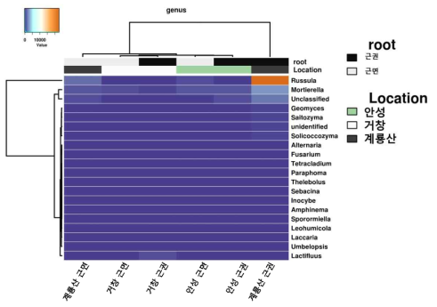 Genus 수준에서 금오족도리풀 지역별 진균 군집 clustering