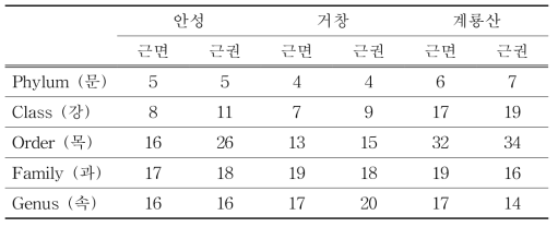 금오족도리풀의 지역별 계통별 분류 총 수