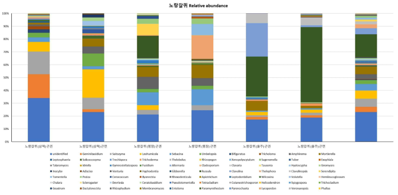 노랑갈퀴 지역별 genus relative abundance