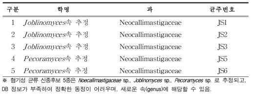 혐기성 균류 신종 후보 목록