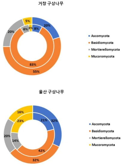 Phylum 수준에서 확인한 울산과 거창의 구상나무 근면(안쪽 원형 그래프)과 근권(바깥쪽 원형 그래프)의 진균 군집 구성