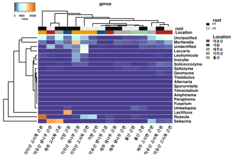 Genus 수준에서 구상나무 지역별 진균 군집 clustering