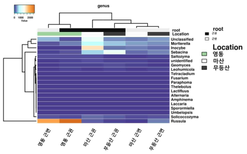 Genus 수준에서 나제승마 지역별 진균 군집 clustering