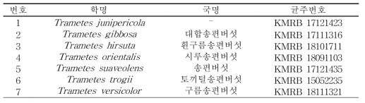 톱밥재배법에 이용된 균주