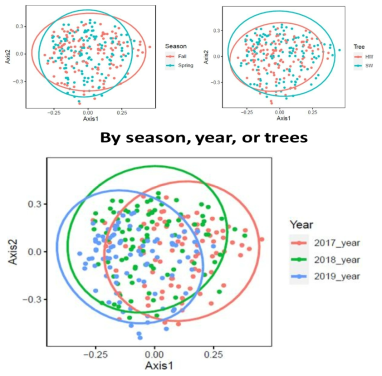 세균 군집의 연도, 계절, 수종에 따른 NMDS 결과