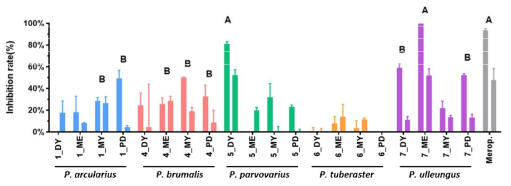 Polyporus 속 5종 버섯의 E. coli에 대한 항균 활성. 시료별로 8과 4mg/ml의 농도로 처리한 결과임. DY, ME, MY, PD는 시료가 배양된 배지임. One-way ANOVA를 수행하고 post-hoc으로 Dunnet test를 이용. 통계적으로 유사한 그룹을 같은 대문자 알파벳으로 표시. Merop.은 0.1과 0.02 ng/ml의 농도의 meropenem 항생제로 처리한 결과임