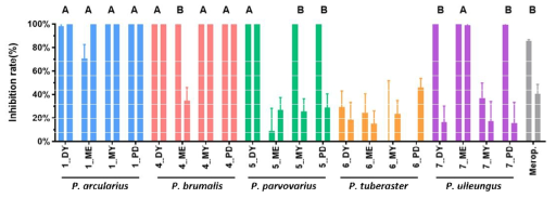 Polyporus 속 5종 버섯의 Ps. aeruginosa에 대한 항균 활성. 시료별로 8과 4 mg/ml의 농도로 처리한 결과임. DY, ME, MY, PD는 시료가 배양된 배지임. One-way ANOVA를 수행하고 post-hoc으로 Dunnet test를 이용. 통계적으로 유사한 그룹을 같은 대문자 알파벳으로 표시. Merop.은 0.1과 0.02 ng/ml의 농도의 meropenem 항생제로 처리한 결과임