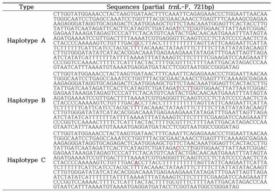 엽록체DNA trnL-F 영역의 염기서열 결과