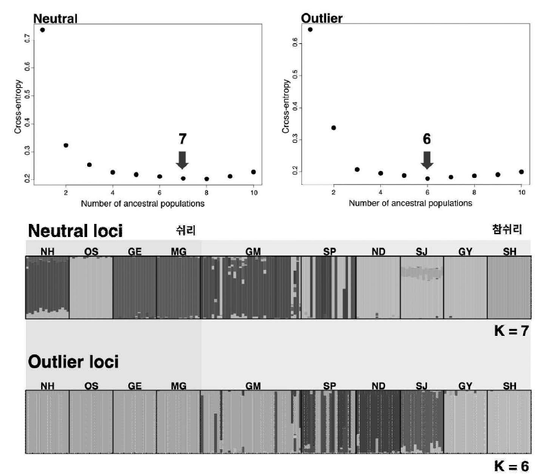 Cross-entropy(위)를 통해 확인된 두 종의 집단의 유전적 구조 중립변이의 최적 유전적 그룹은 7개, 적응변이는 6개의 그룹으로 확인. sNMF를 이용한 집단의 유전학적 구조(아래). 초록색 음영: 쉬리 집단, 노란색 음영: 참쉬리 집단