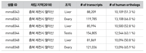 기존에 확보하고 있던 전사체 기반 이끼도롱뇽 표준 유전정보