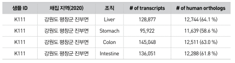 새롭게 확보한 전사체 기반 이끼도롱뇽 표준 유전정보