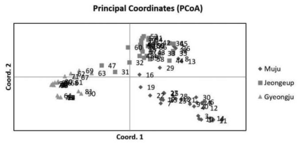 홍딱지바수염반날개 지역 개체군의 주성분 분석 Muju: 무주, Jeongeup: 정읍, Gyeongju: 경주
