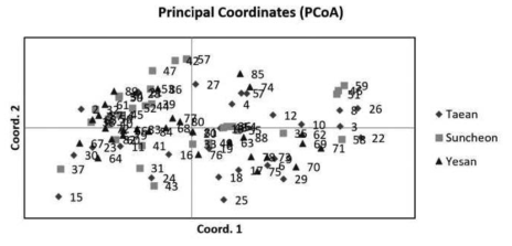 청딱지개미반날개 지역 개체군의 주성분 분석 Taean: 태안, Suncheon: 순천, Yesan: 예산