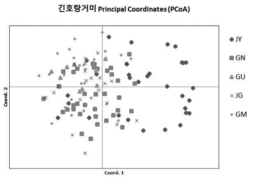 긴호랑거미의 PCoA 분석 결과