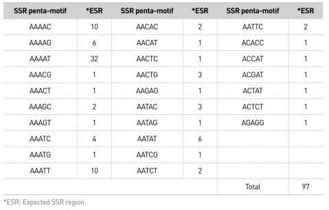 무당거미의 penta-motif 27종류 SSR 후보 영역