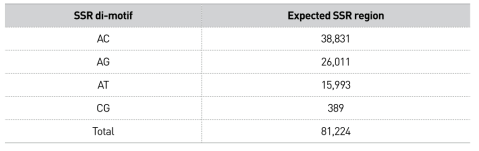 까치살모사의 di-motif 4종류 SSR 후보 영역