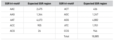 까치살모사의 tri-motif 10종류 SSR 후보 영역