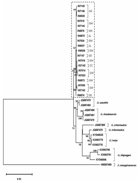 까치살모사 ML tree (ND4+Cytb 1,486bp)