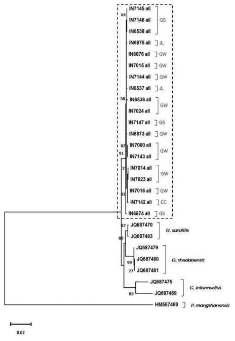 까치살모사 ML tree (ND4+Cytb+c-mos 1,972bp)