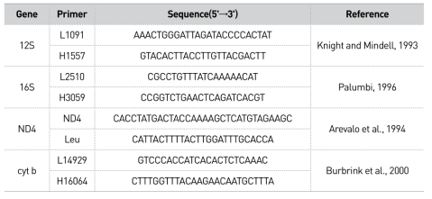 쇠살모사 MtDNA 유전자 증폭을 위해 사용한 프라이머