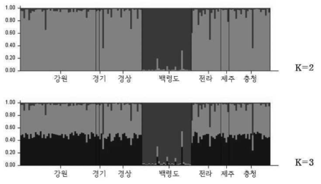 쇠살모사 유전적 집단구조 분석 결과