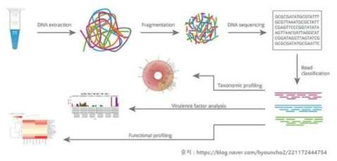 Shotgun metagenomics 분석절차